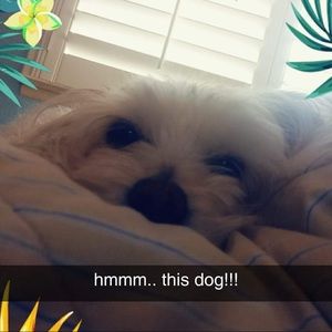 Meet your Posher, Kristina